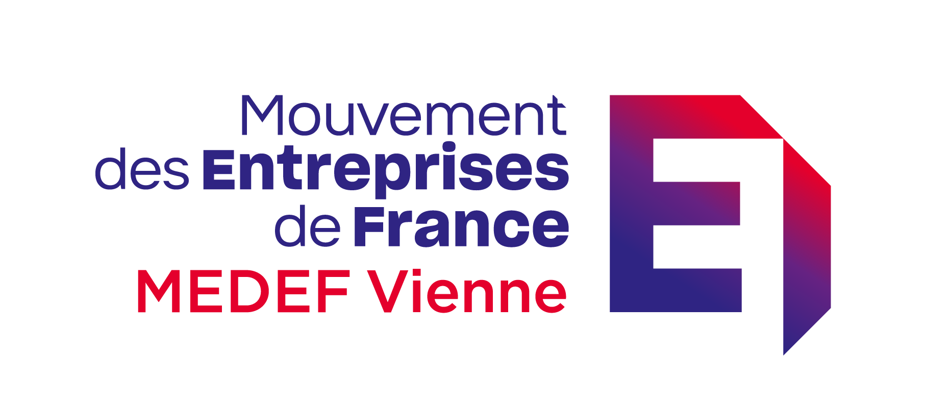 MEDEF Vienne LOGO RVB PNG