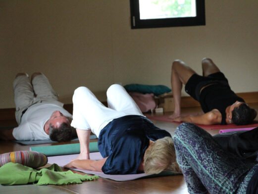 Stage Yoga et Méditation Poitiers