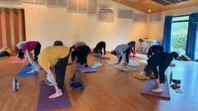 {{brizy_dc_image_alt imageSrc=