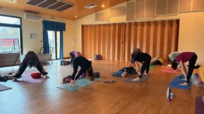 {{brizy_dc_image_alt imageSrc=